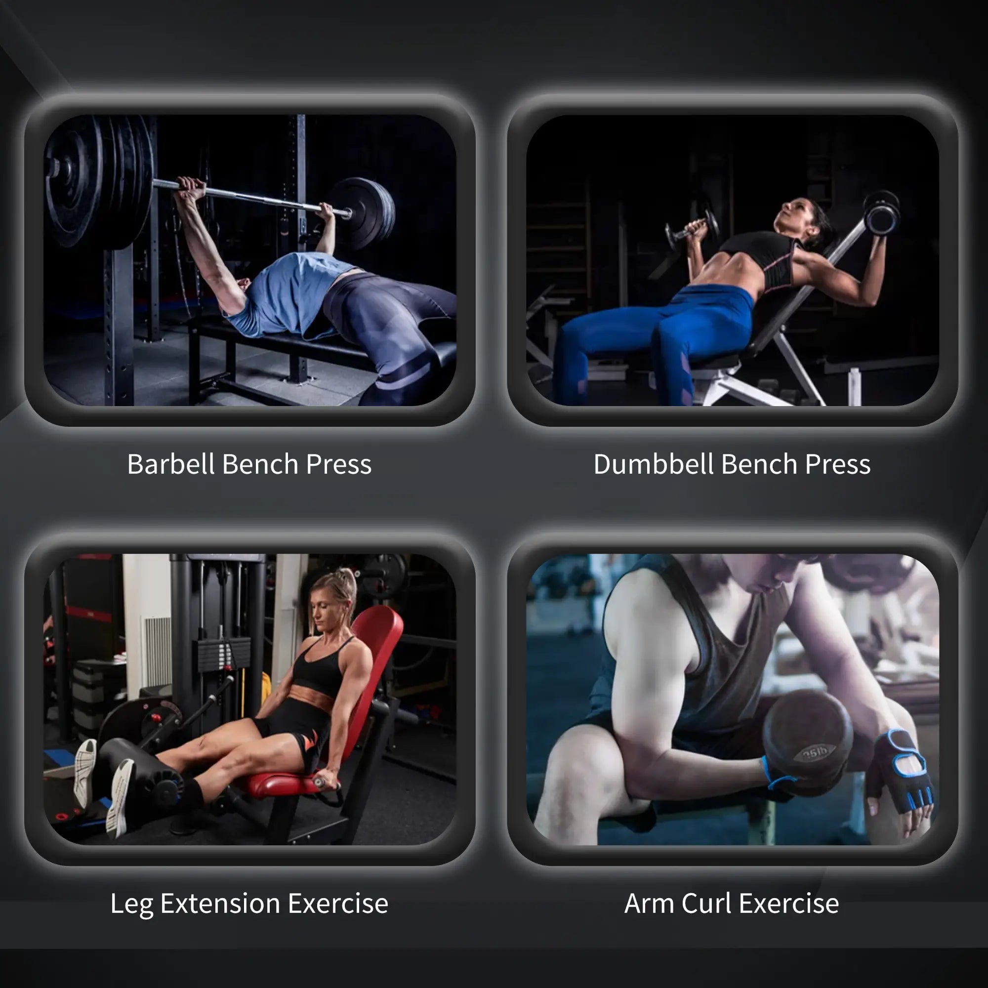 Adjustable Weight Bench, Leg Developer, Barbell Rack, Home Gym Weight Benches at Gallery Canada