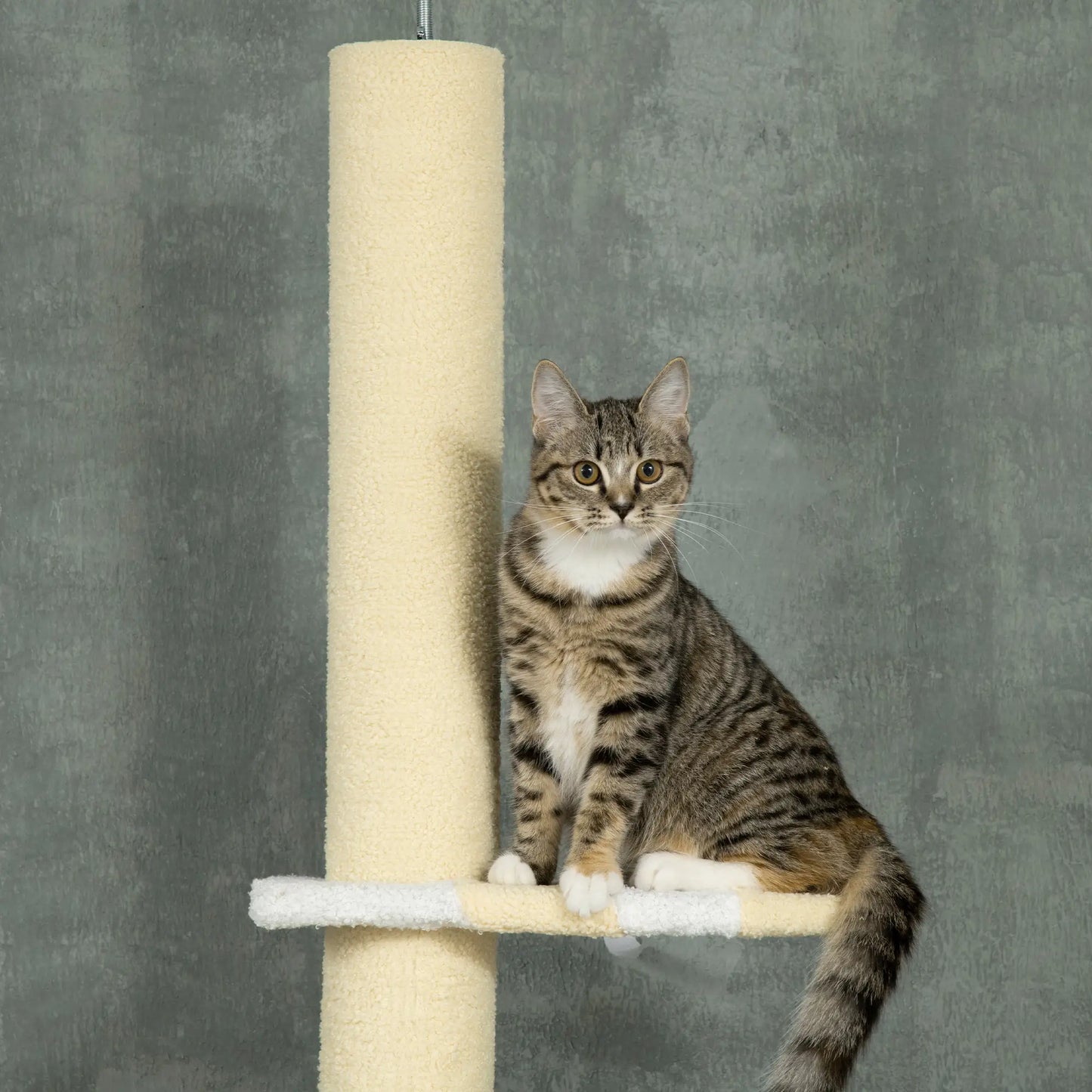 87"-102" Cat Tree, Sisal Scratching Posts, Anti-Tip Kit, Yellow Floor to Ceiling Cat Trees at Gallery Canada
