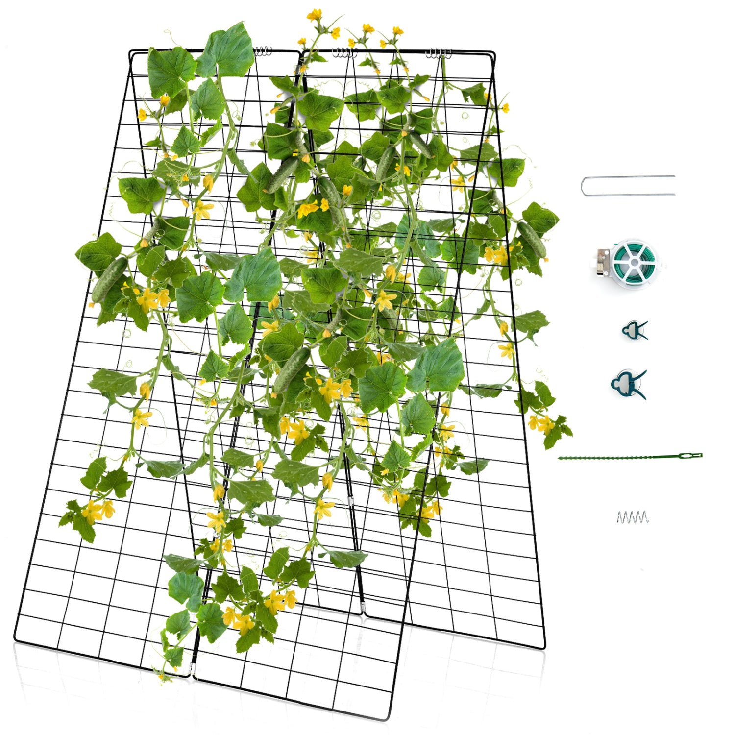 A-Frame Garden Trellis for Climbing Plants with Stakes, Green Plant Supports at Gallery Canada