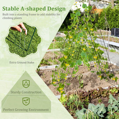 A-Frame Garden Trellis for Climbing Plants with Stakes, Green Plant Supports at Gallery Canada