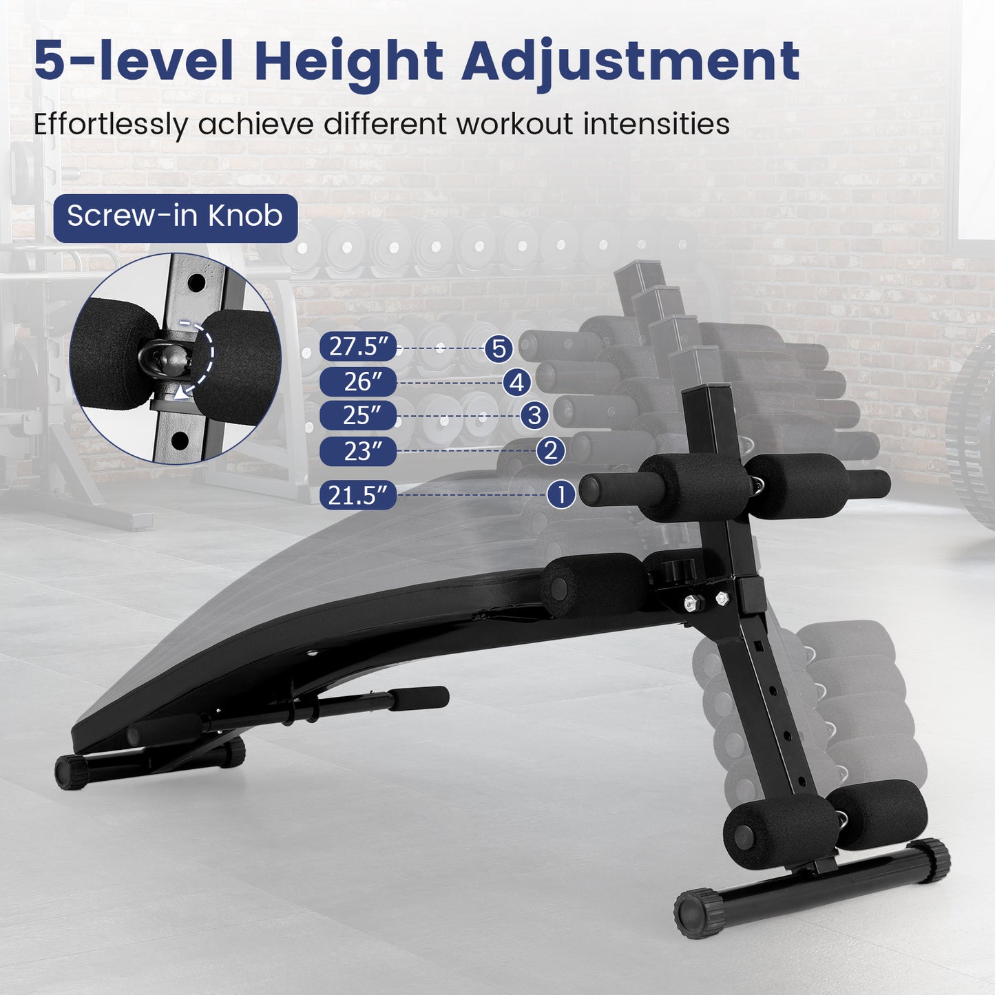 Adjustable Decline Sit Up Bench, Black Exercise Machines at Gallery Canada