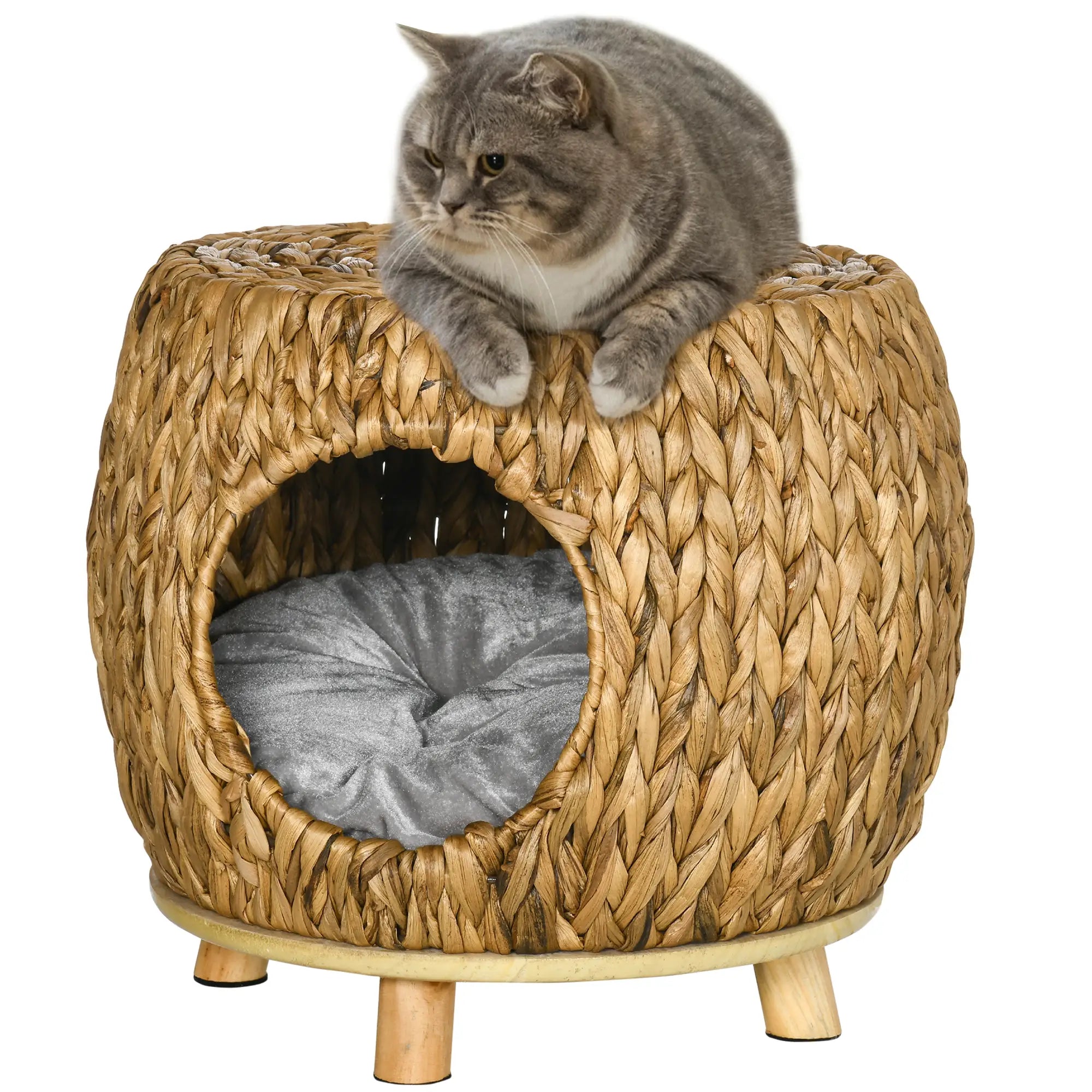 Wicker Cat Bed, Washable Cushion, Rattan Kitten Bed, Light Brown Cat Houses at Gallery Canada