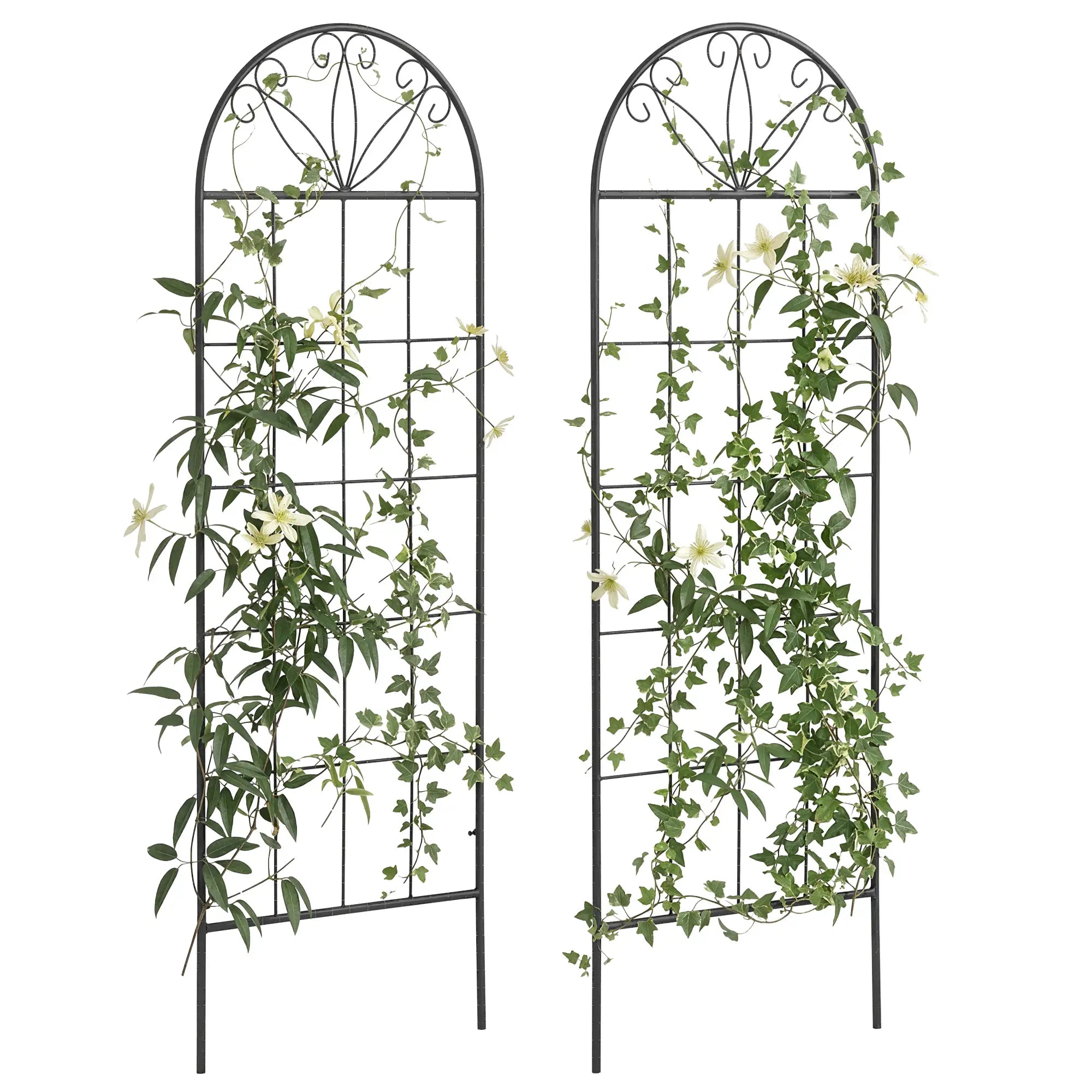 Metal Garden Trellis, Pack of 2, Arched Grid Panels, 20