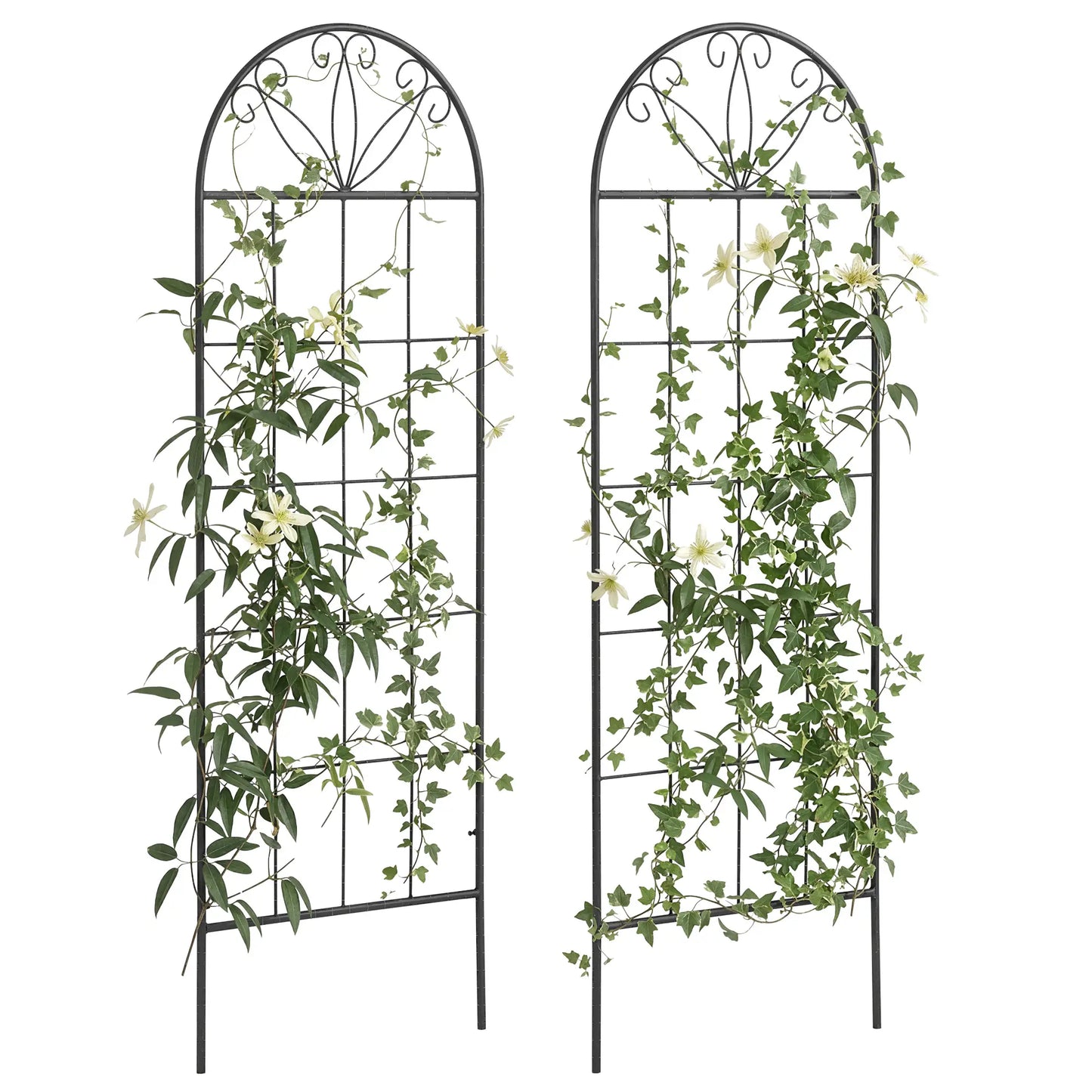 Metal Garden Trellis, Pack of 2, Arched Grid Panels, 20" x 60", Black Plant Stands at Gallery Canada