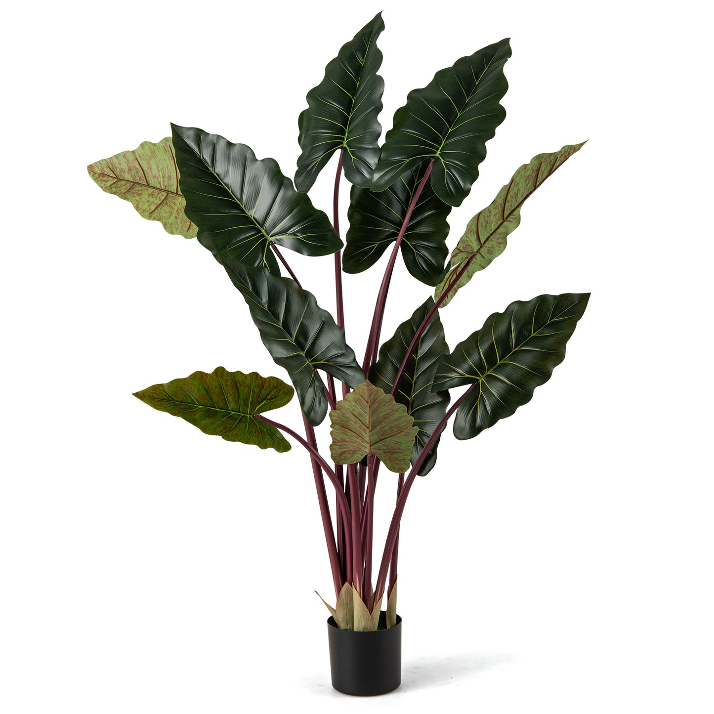 Artificial Rainbow Taro Tree 63" Tall with 11 Faux Leaves-1 Pack Faux Plants Options at Gallery Canada