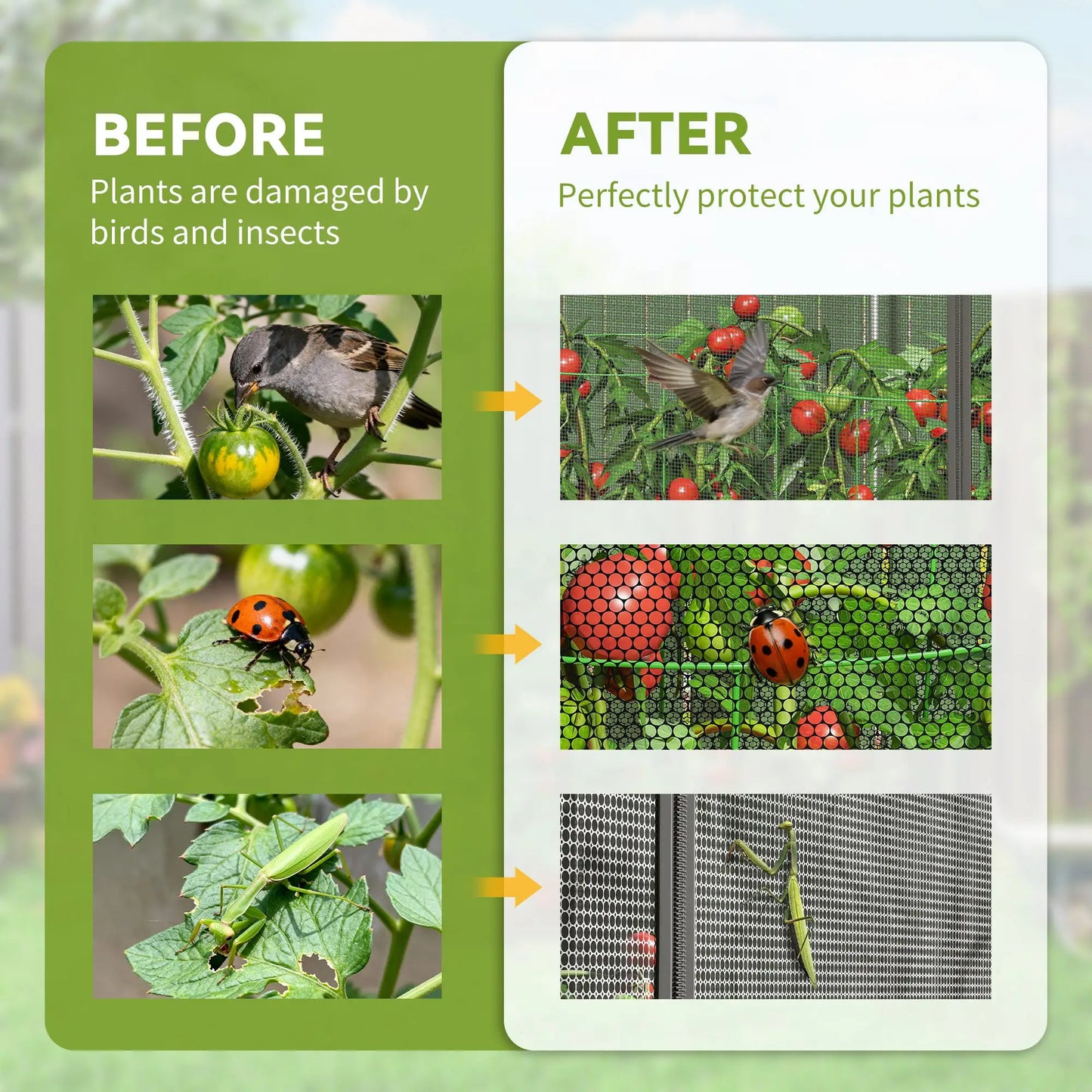 Galvanized Steel Crop Cage, Plant Protection Tent, 8' x 4', Black