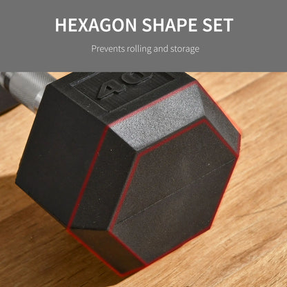 40lbs Rubber Hex Dumbbells, Fitness Training, Black Dumbbells & Barbells at Gallery Canada