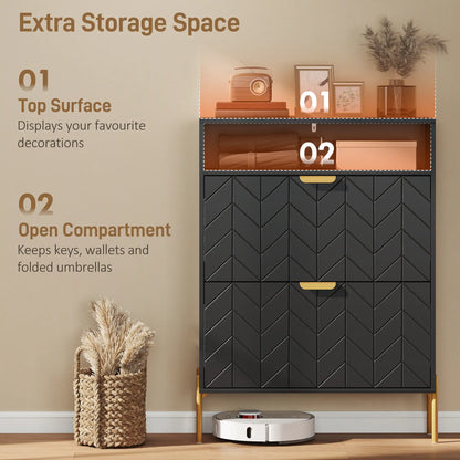 Narrow Shoe Cabinet, 2 Flip Drawers, Adjustable Shelves, Open Compartment, Black Shoe Storage Cabinets & Racks at Gallery Canada