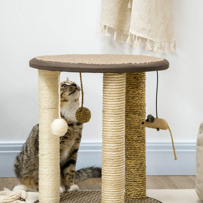 17 Cat Tree, Kitty Activity Centre, Hanging Toys, Scratching Post, Brown Cat Towers at Gallery Canada