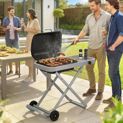 Portable Propane BBQ Grill, Foldable Cart, 9500 BTU, Black Propane Gas Grills at Gallery Canada