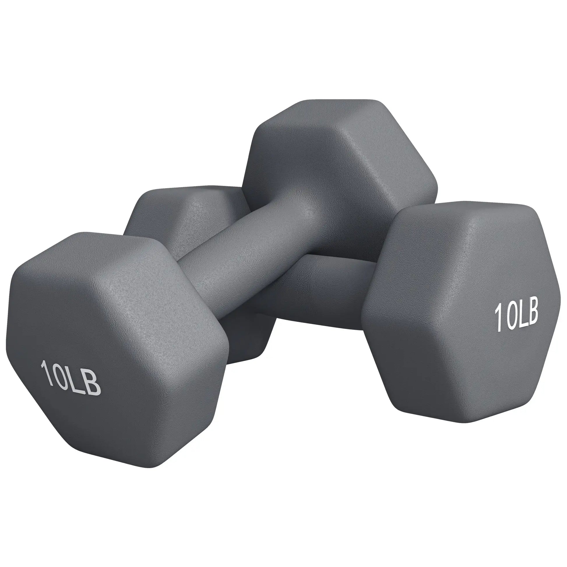 Hexagonal Dumbbells, 10LBS Set of 2, Non-Slip Grip Dumbbells & Barbells at Gallery Canada