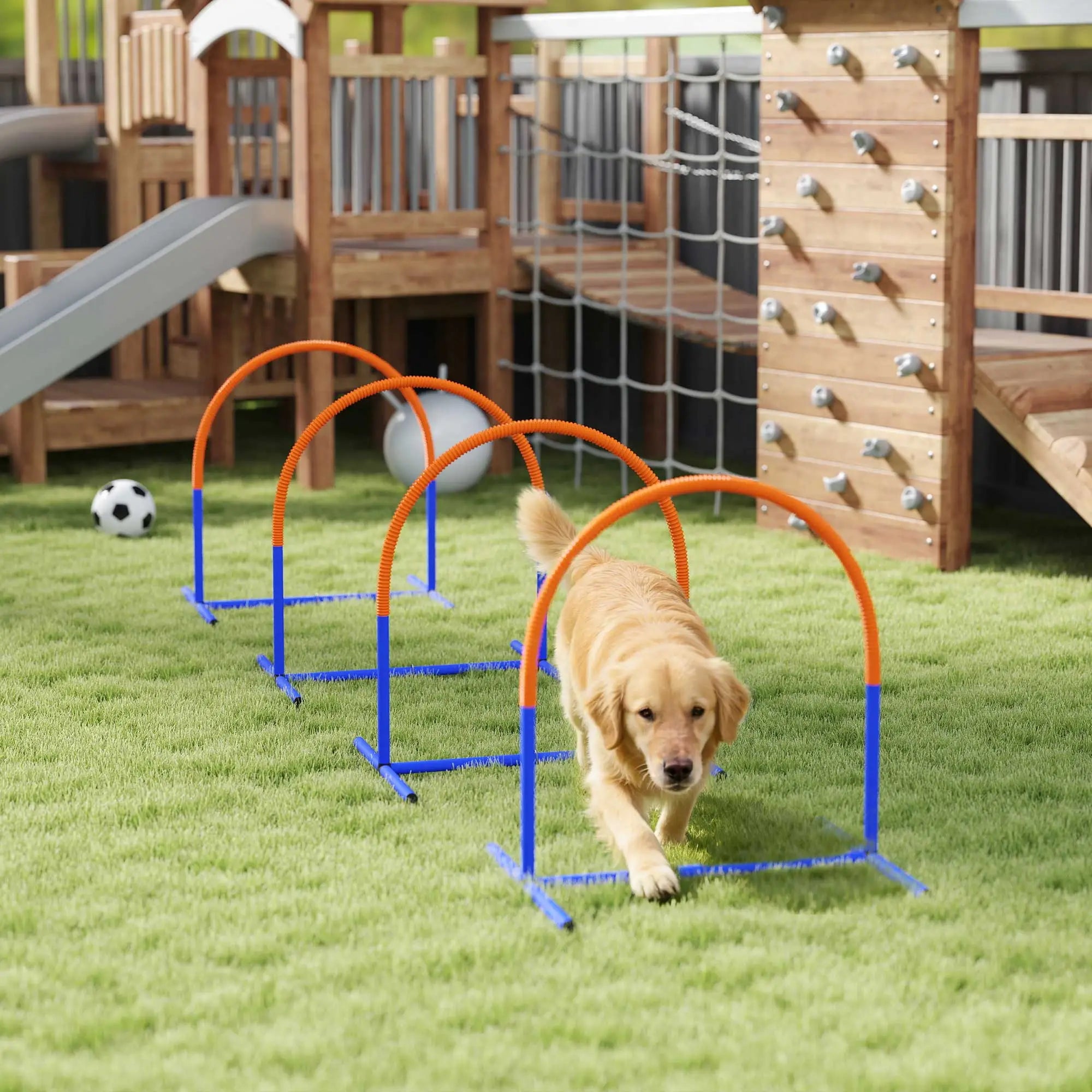 Dog Agility Training Equipment, 4 Pcs Obstacle Course, Blue Dog Agility Training Equipment at Gallery Canada
