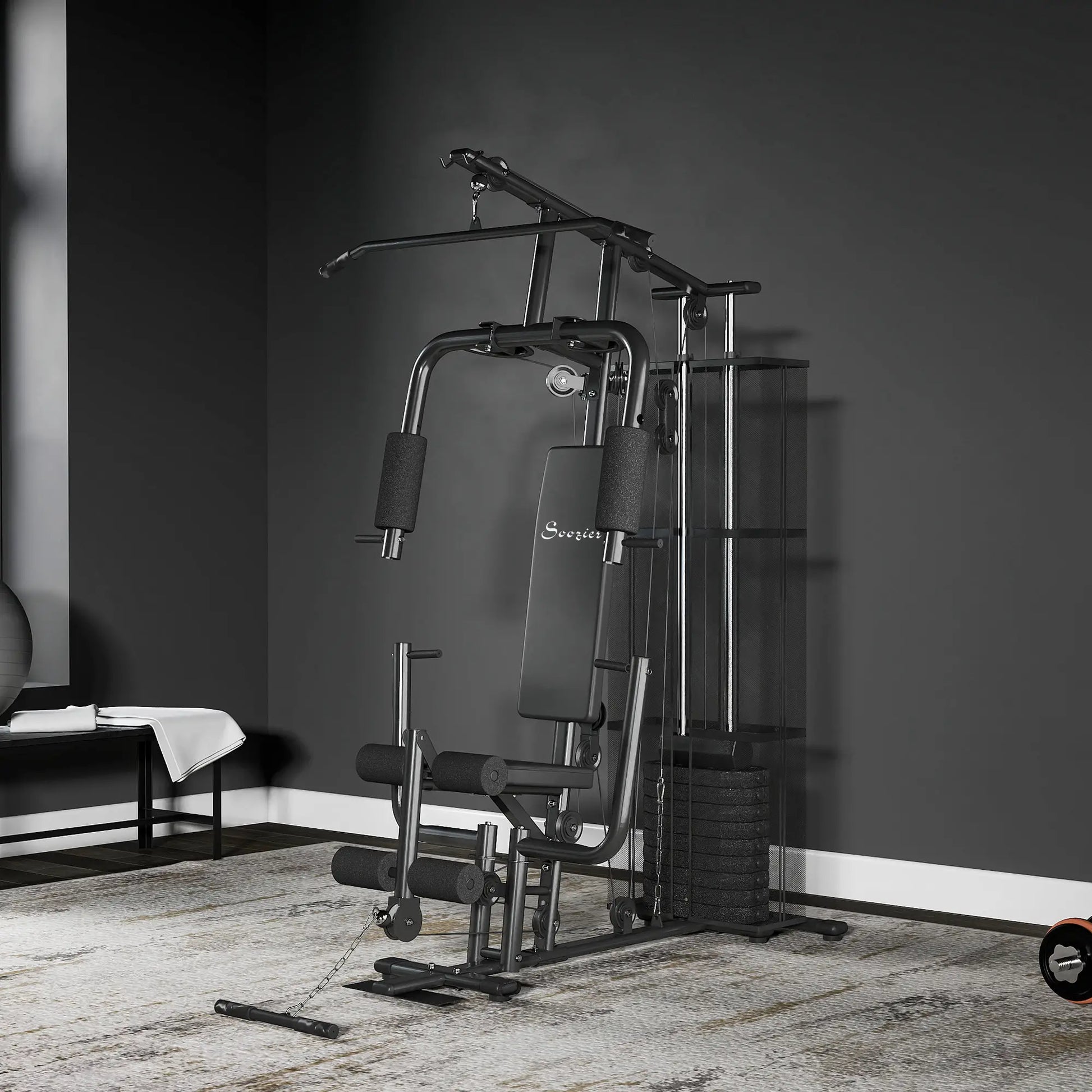 Multifunction Home Gym, 100Lbs Weight Stack, Lat Pulldown, Leg Extensions, Black Power Towers at Gallery Canada