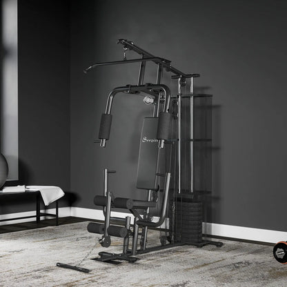 Multifunction Home Gym, 100Lbs Weight Stack, Lat Pulldown, Leg Extensions, Black Power Towers at Gallery Canada