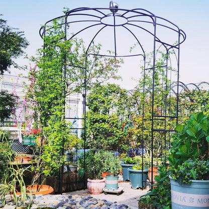 Birdcage Shape Gazebo, For Climbing Plants And Wedding Decoration, Black Outdoor Decor at Gallery Canada