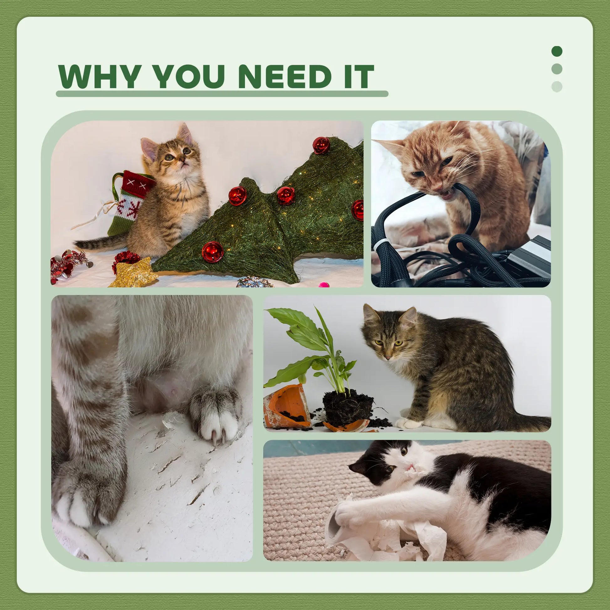 47" Tall Cat Tree Tower, Condo, Ladder, Scratching Posts, Green Cat Trees at Gallery Canada