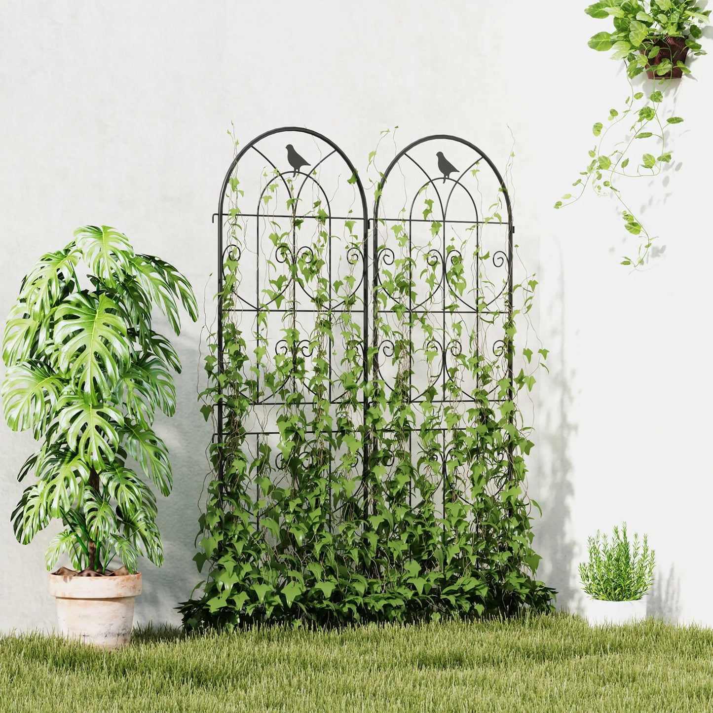Metal Garden Trellis Set, Bird Design, 150 x 50 cm, Black Plant Stands at Gallery Canada