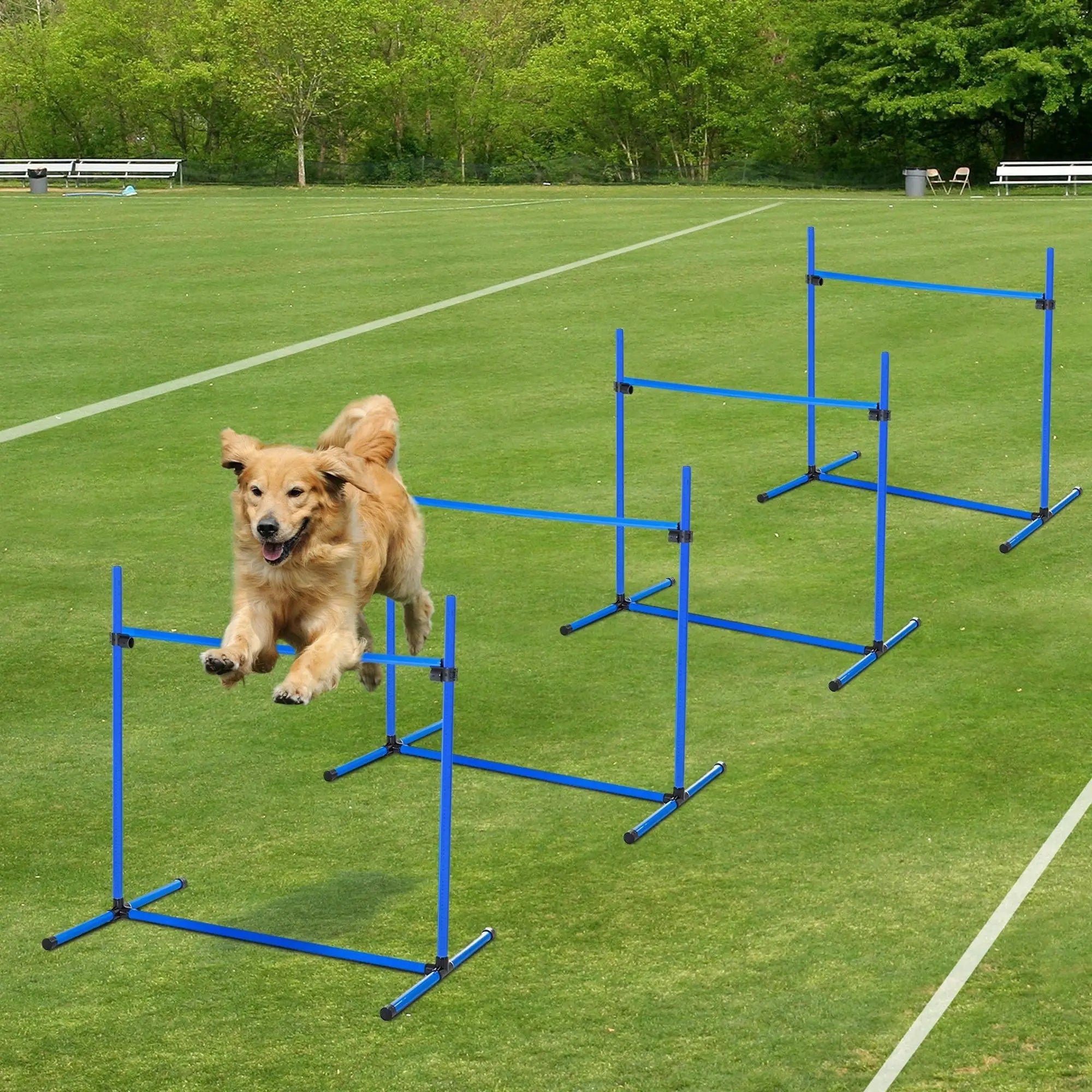 Dog Agility Training Set, 4 Adjustable Jump Bars, Exercise Kit, Blue Dog Agility Training Equipment at Gallery Canada