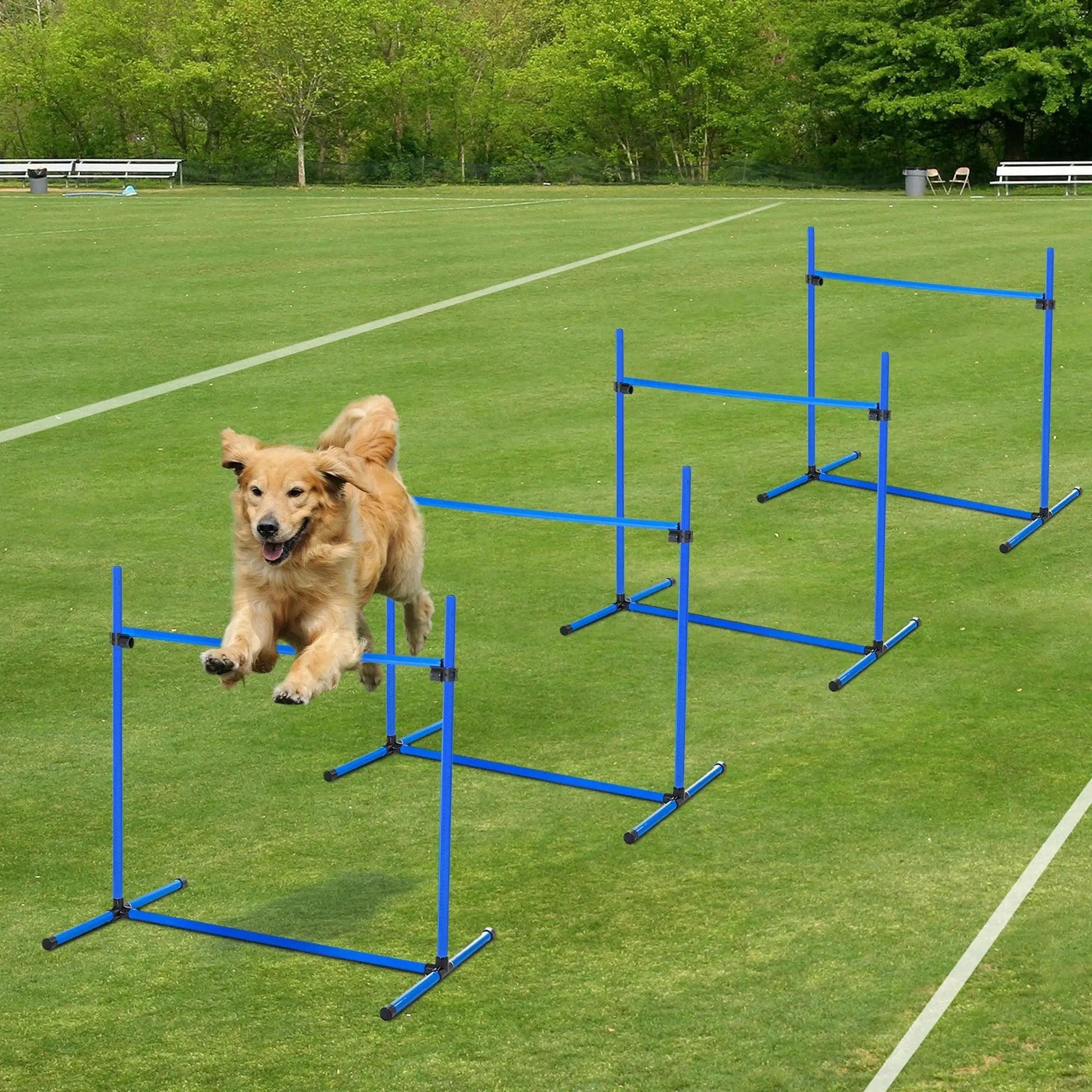 Dog Agility Training Set, 4 Adjustable Jump Bars, Exercise Kit, Blue Dog Agility Training Equipment at Gallery Canada