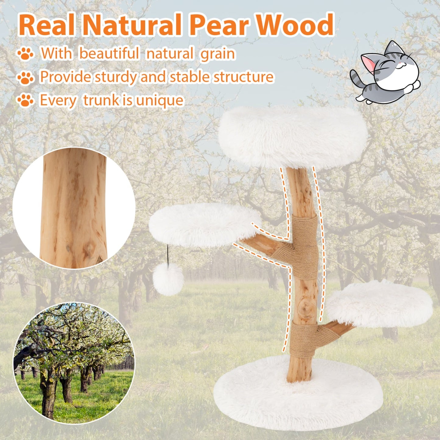 Solid Pear Wood Cat Tree With Perch Cat Trees Condos & Scratchers at Gallery Canada