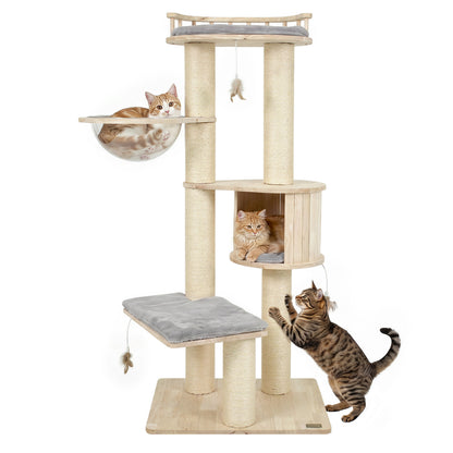 Arbre à chat pour chatons d'intérieur avec perchoir supérieur, gris