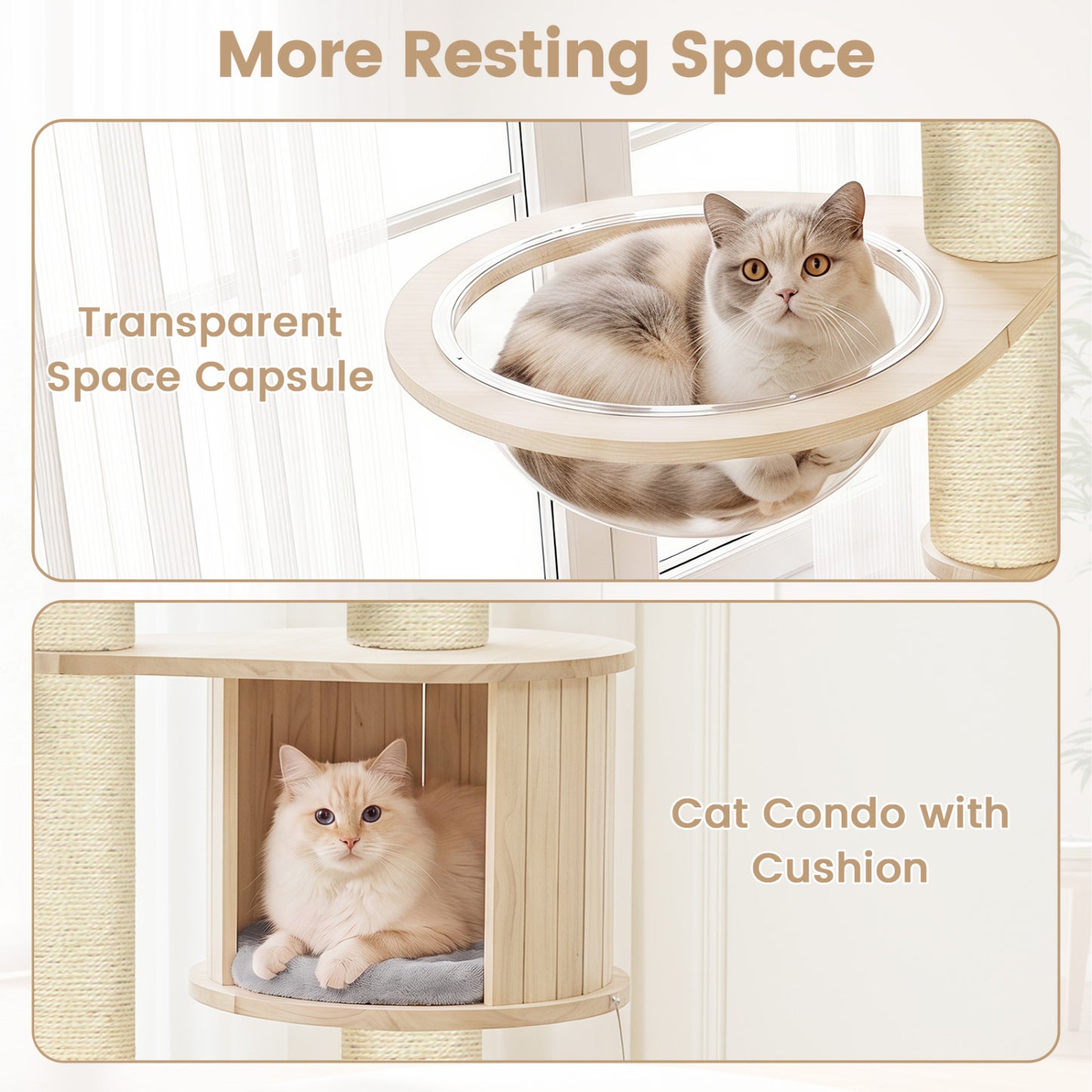 Arbre à chat pour chatons d'intérieur avec perchoir supérieur, gris
