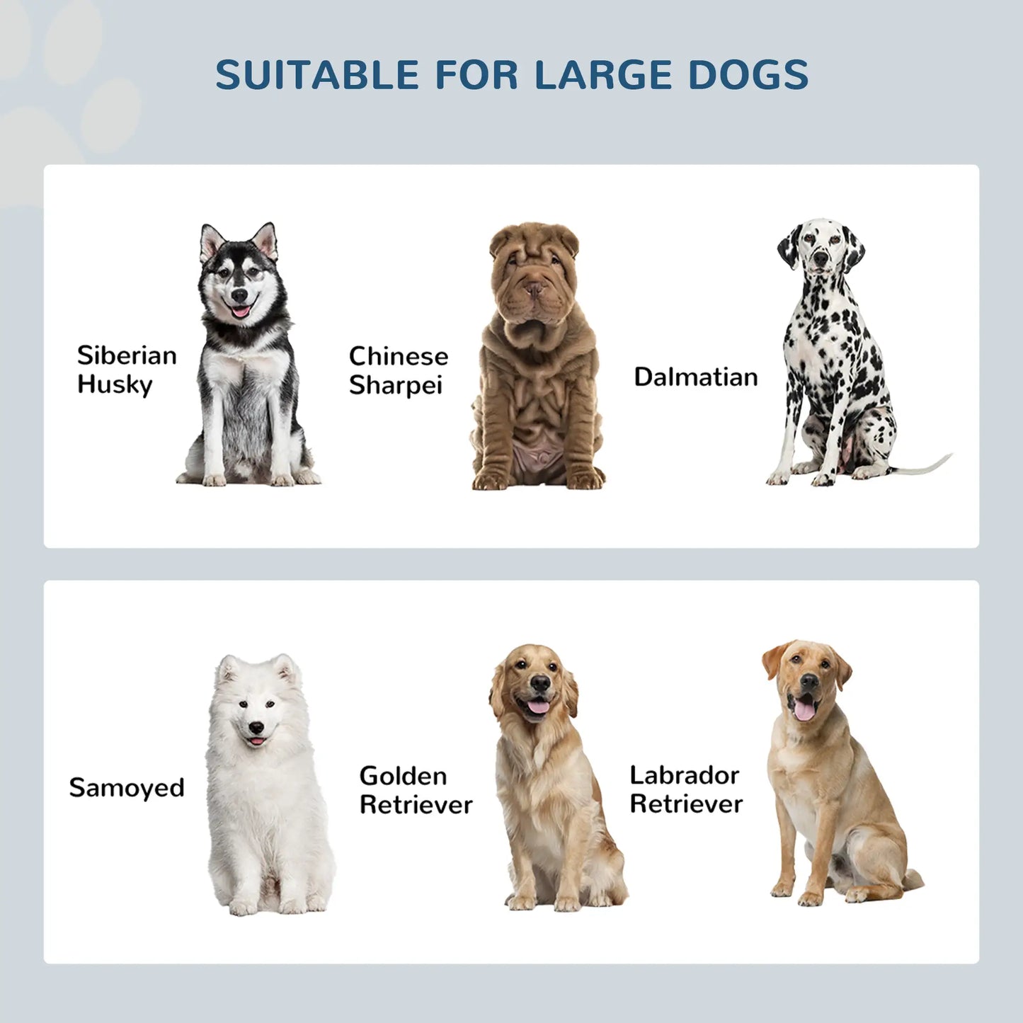 Elevated Dog Bowls for Large Dogs, 2 Stainless Steel Bowls, Grey Dog Bowls at Gallery Canada
