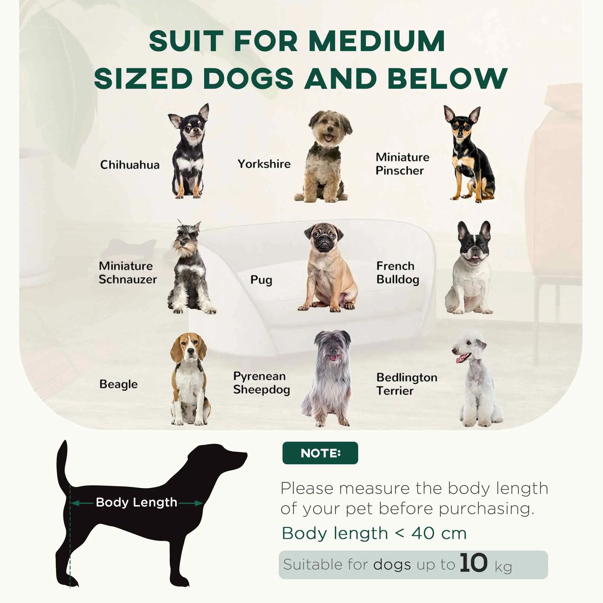 Pet Sofa Dog Couch, Small to Medium, Soft Cushion, Washable Cover, Grey Dog Sofas at Gallery Canada