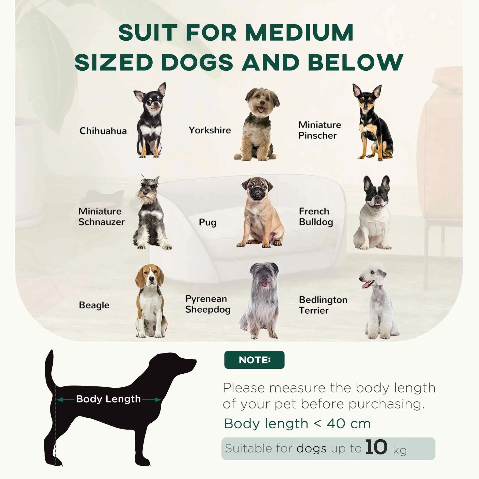 Pet Sofa Dog Couch, Small to Medium, Soft Cushion, Washable Cover, Grey Dog Sofas at Gallery Canada