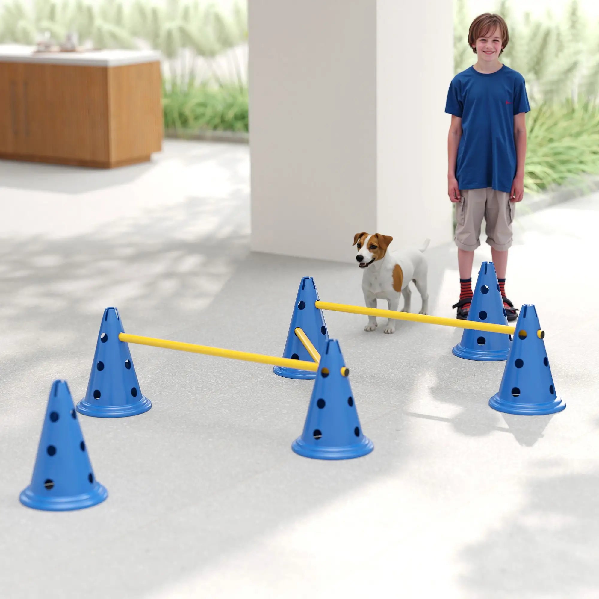 Dog Agility Hurdle Cone Set, Adjustable Obstacle Course, 6 Cones & Poles, Blue Dog Agility Training Equipment at Gallery Canada