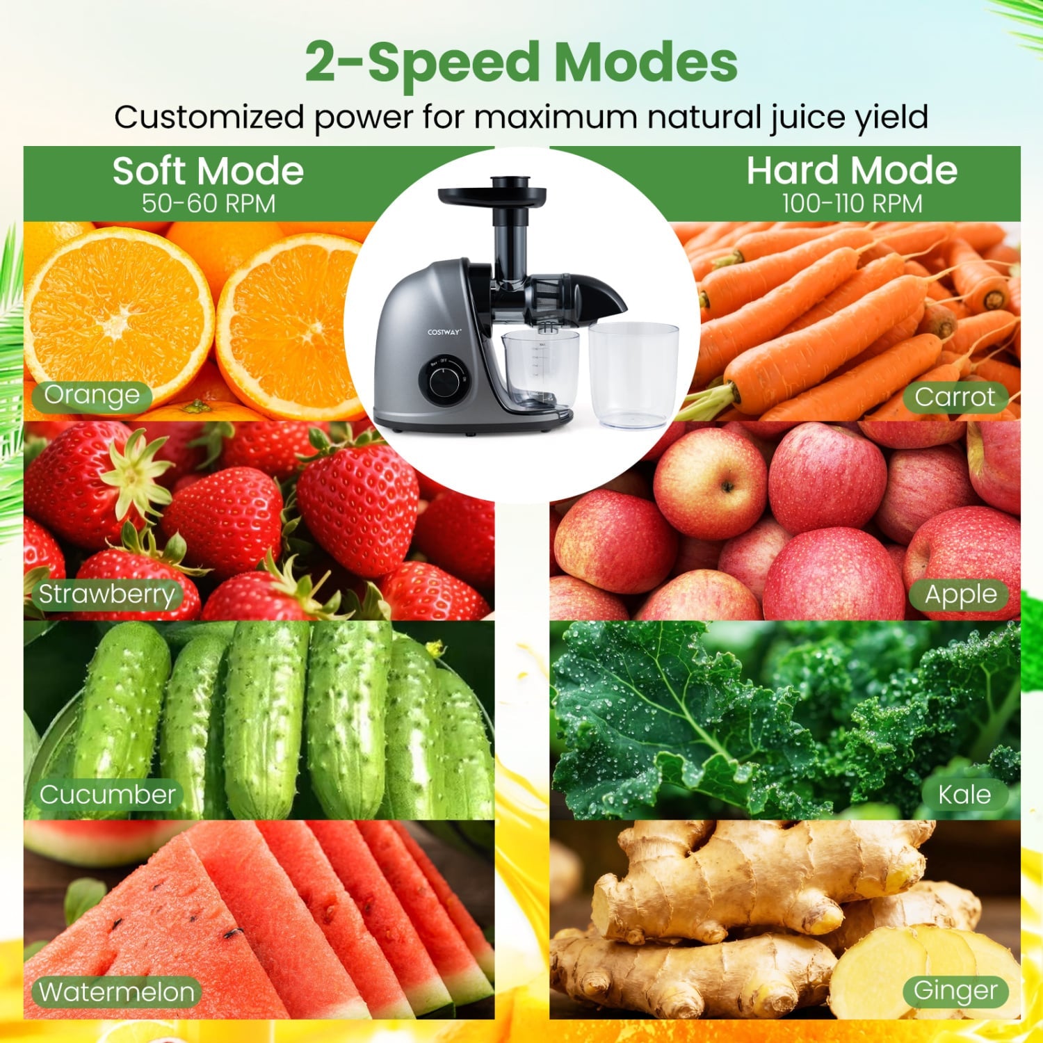 Cold Press Juicer Machine with 95% High Yield and 2-Speed Modes-Sliver, Silver Juicers & Coffee Machines at Gallery Canada