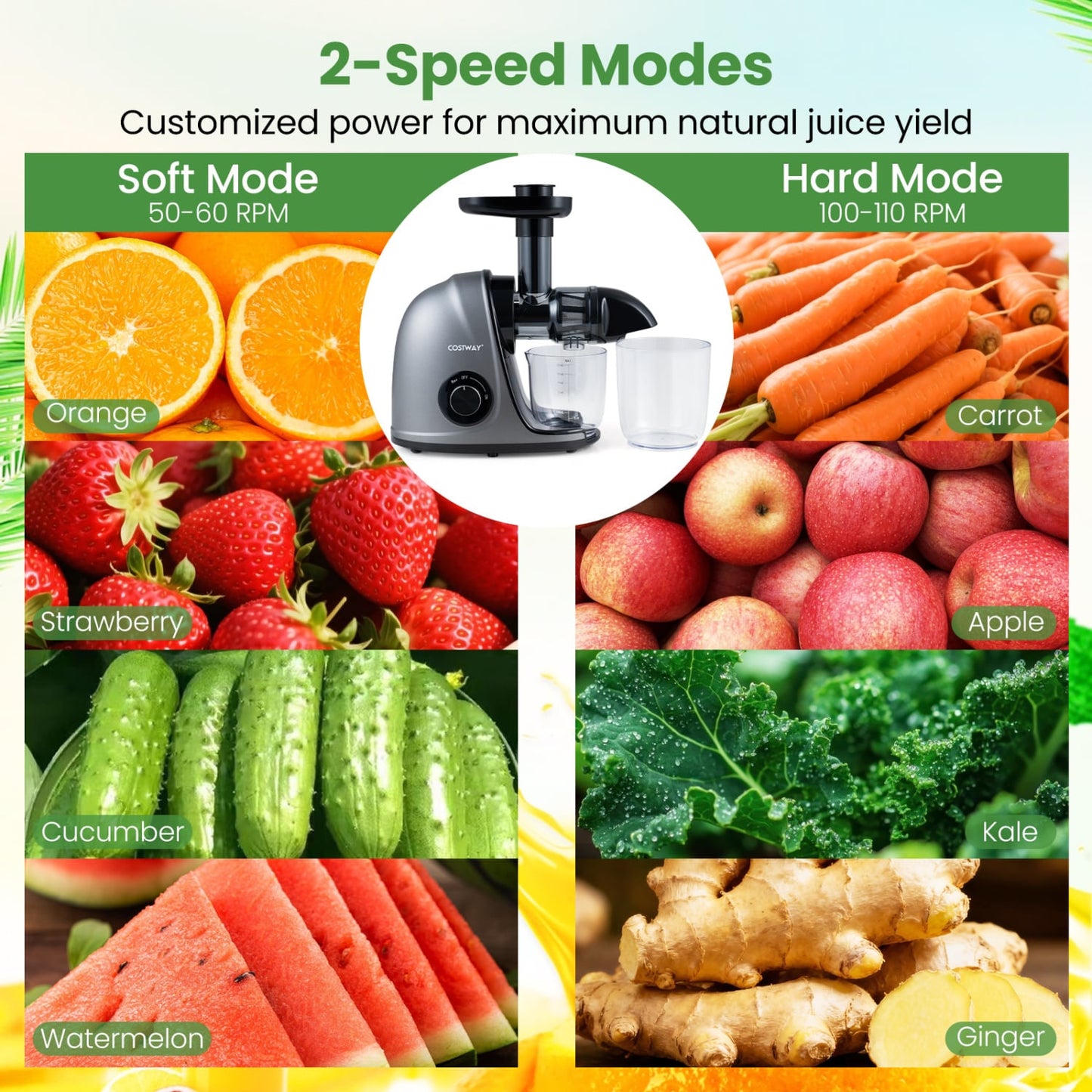 Cold Press Juicer Machine with 95% High Yield and 2-Speed Modes-Sliver, Silver Juicers & Coffee Machines at Gallery Canada