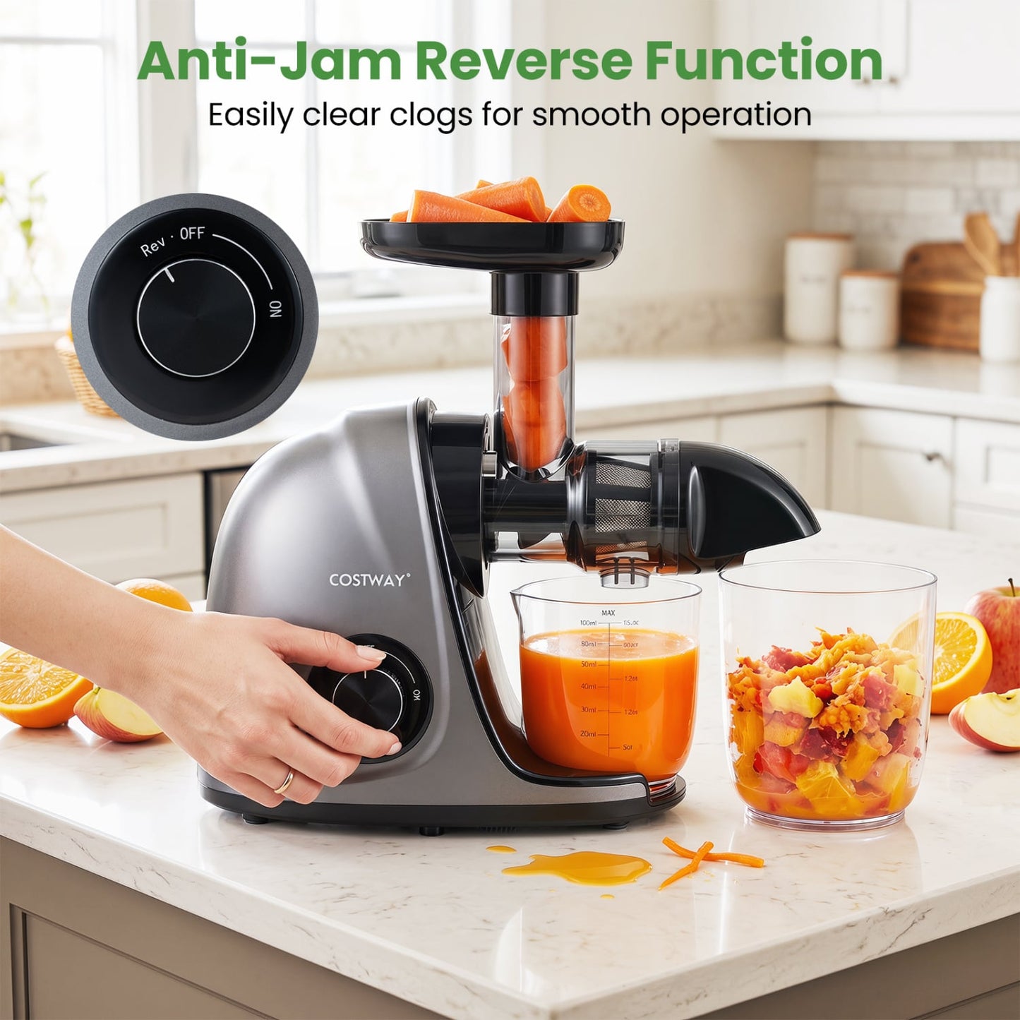 Cold Press Juicer Machine with 95% High Yield and 2-Speed Modes-Sliver, Silver Juicers & Coffee Machines at Gallery Canada