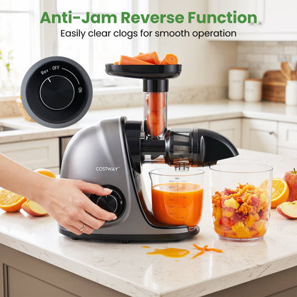 Cold Press Juicer Machine with 95% High Yield and 2-Speed Modes-Sliver, Silver Juicers & Coffee Machines at Gallery Canada