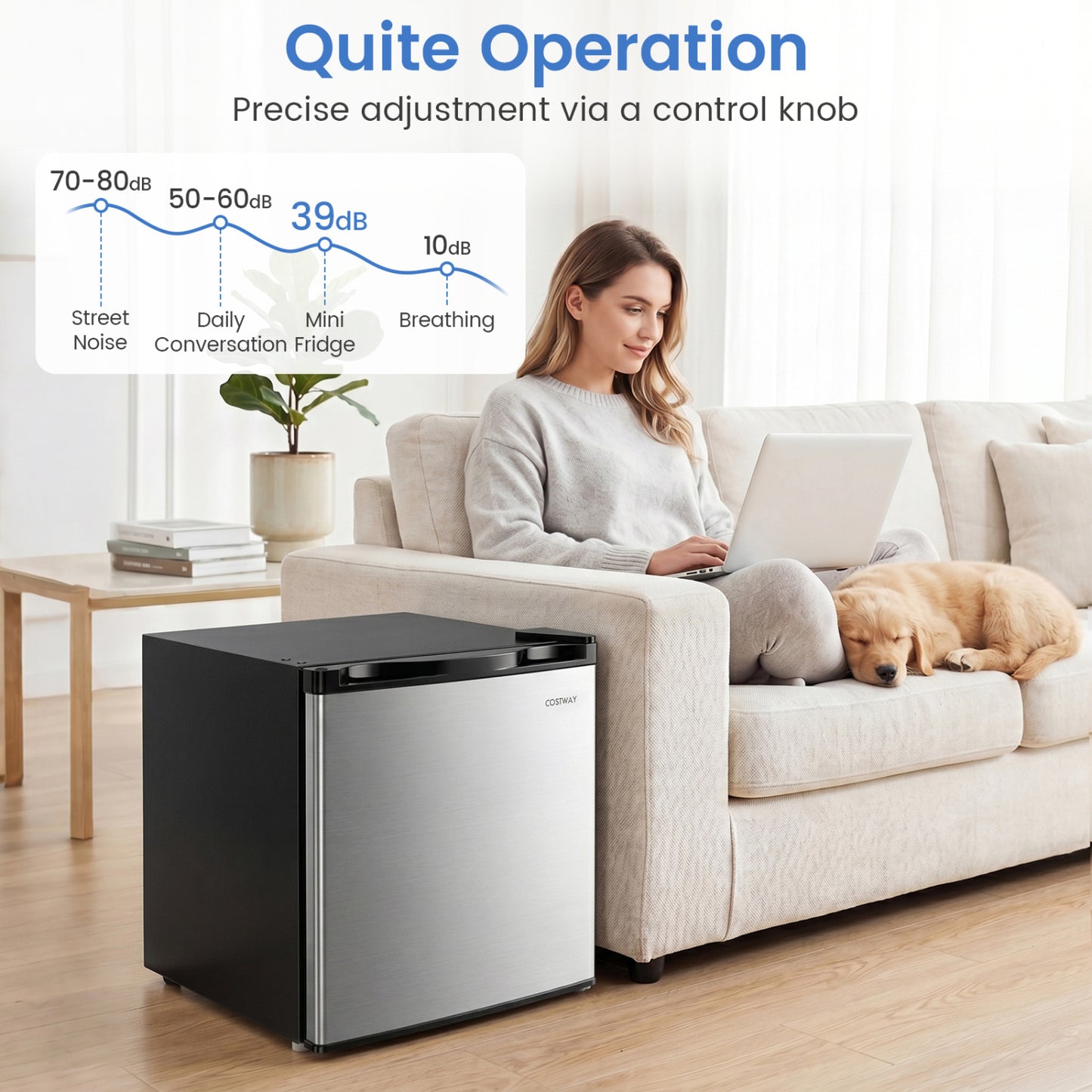 Compact Mini Fridge with 7-Level Adjustable Thermostat, Silver Refrigerators at Gallery Canada