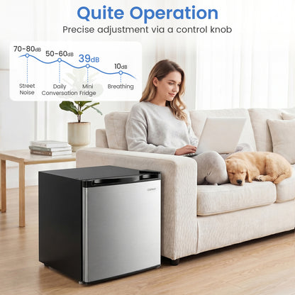 Compact Mini Fridge with 7-Level Adjustable Thermostat, Silver Refrigerators at Gallery Canada