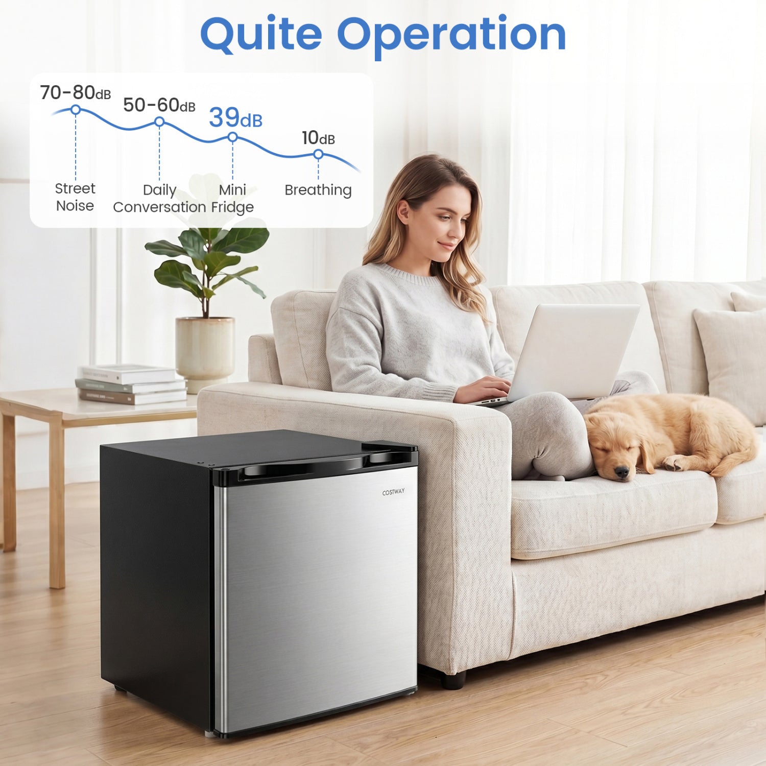 Compact Mini Fridge with 7-Level Adjustable Thermostat, Silver Refrigerators at Gallery Canada