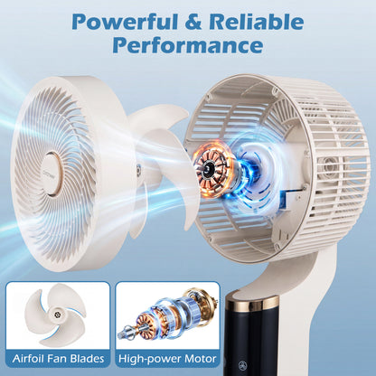 Compact Oscillating Fan, 70° Oscillation, 90° Tilt, White Fans at Gallery Canada