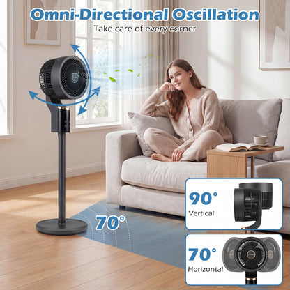 Compact Oscillating Fan, 70° Oscillation, 90° Tilt, Black Fans at Gallery Canada