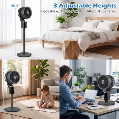Compact Oscillating Fan, 70° Oscillation, 90° Tilt, Black Fans at Gallery Canada
