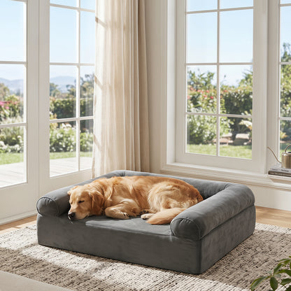 Cooling Gel Memory Foam Dog Bed, Medium, Dark Gray Dog Supplies at Gallery Canada