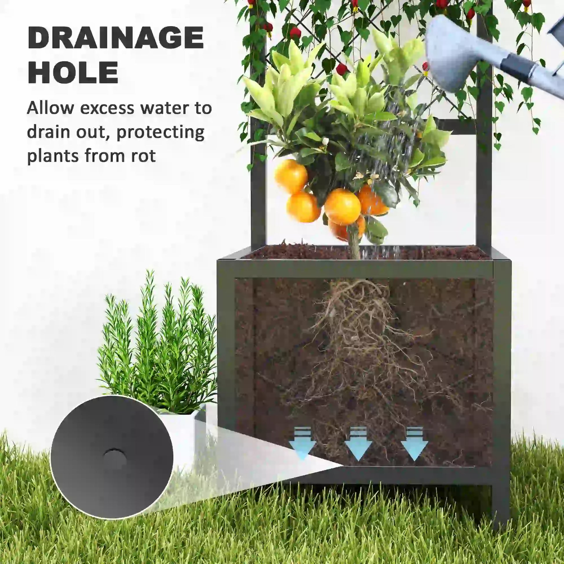 Galvanized Raised Garden Bed, Metal Planter Box with Trellis, Drainage Holes Raised Garden Beds at Gallery Canada