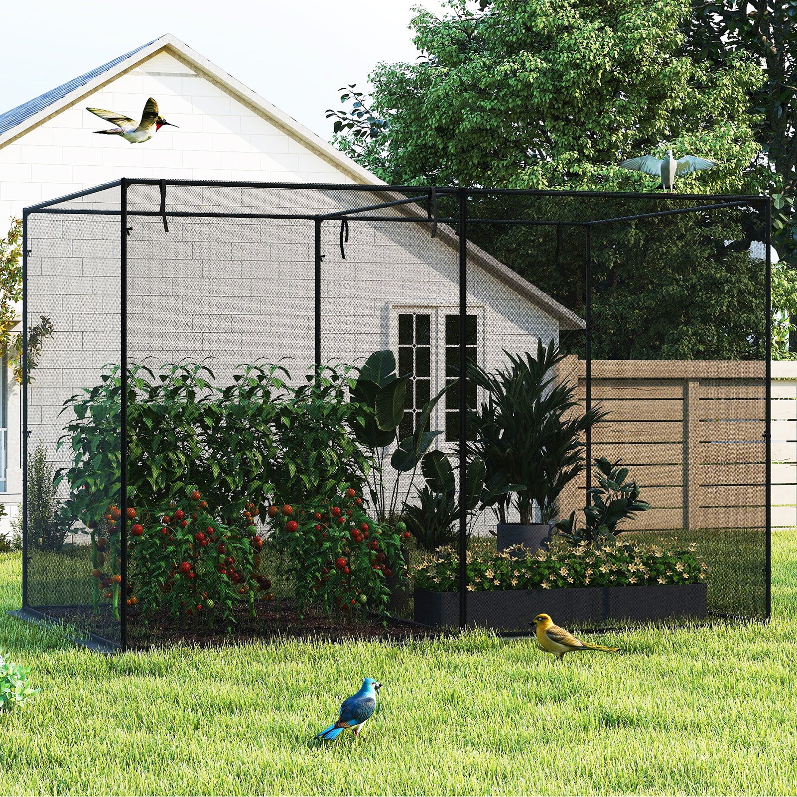Crop Cages with 6 Ground Nails for Garden Plant Plant Supports at Gallery Canada