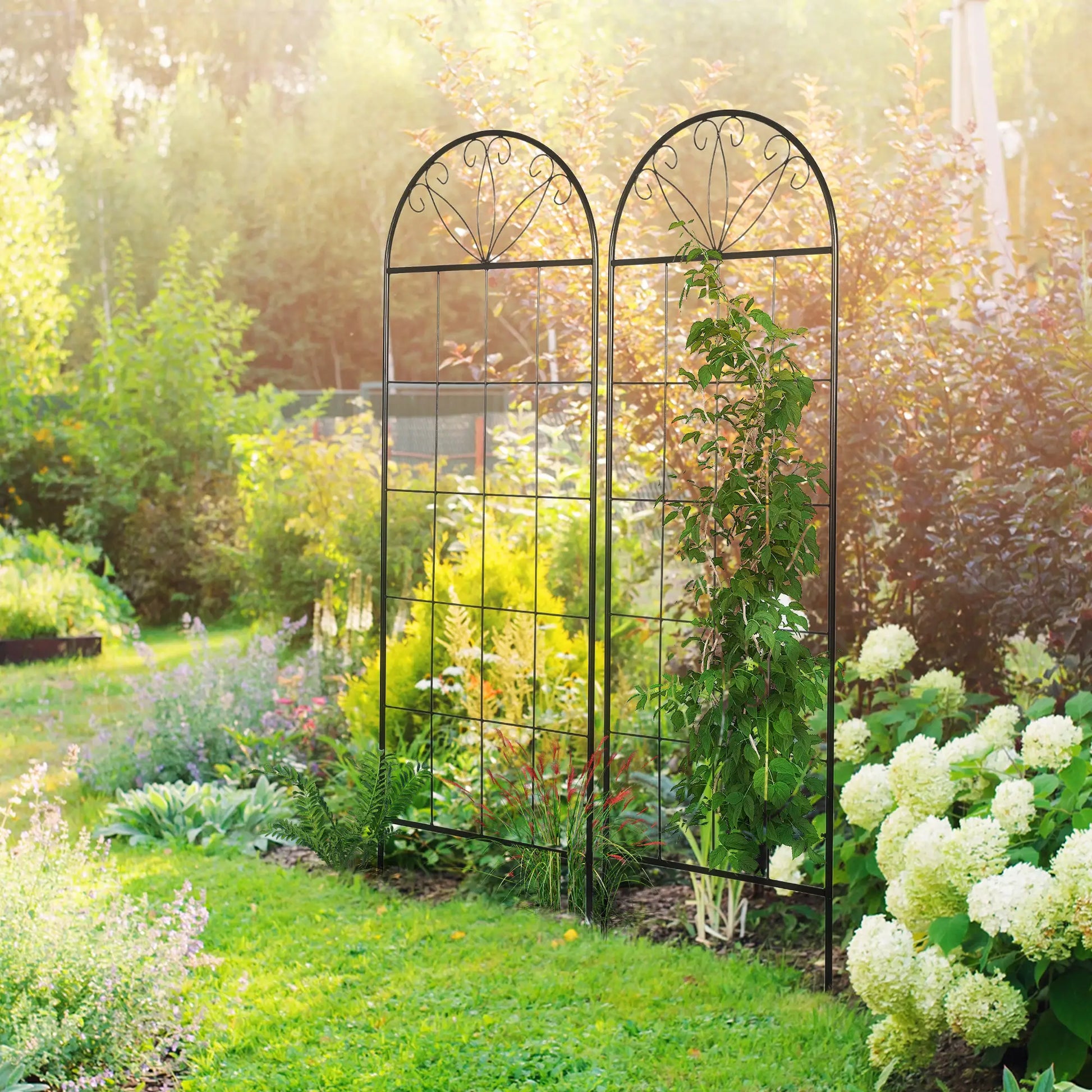 Metal Garden Trellis, Pack of 2, Arched Grid Panels, 20" x 60", Black Plant Stands at Gallery Canada