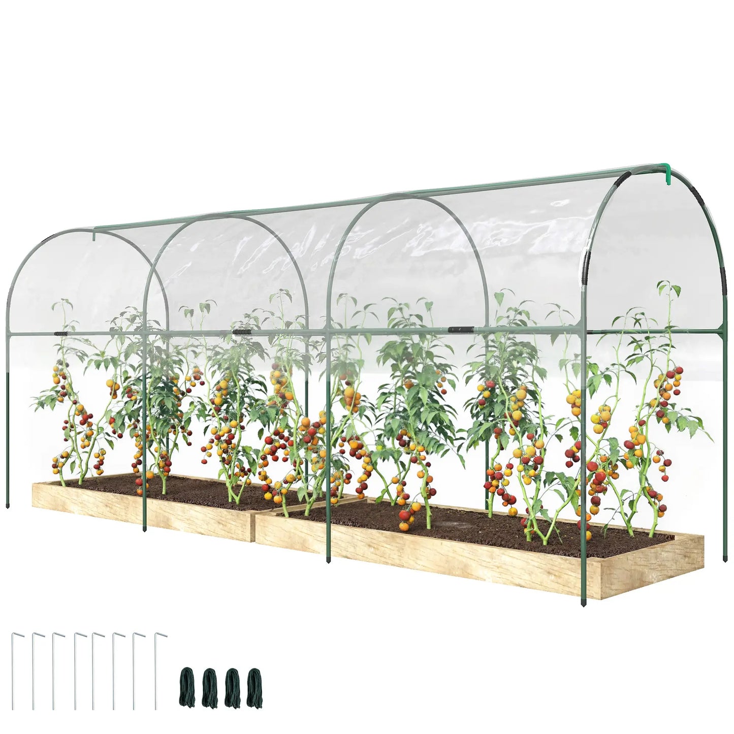 Tomato Greenhouse Tunnel, 4 Hoops, Top Tap, 157.5" x 48.4" x 67.3", Clear Tunnel Greenhouses at Gallery Canada