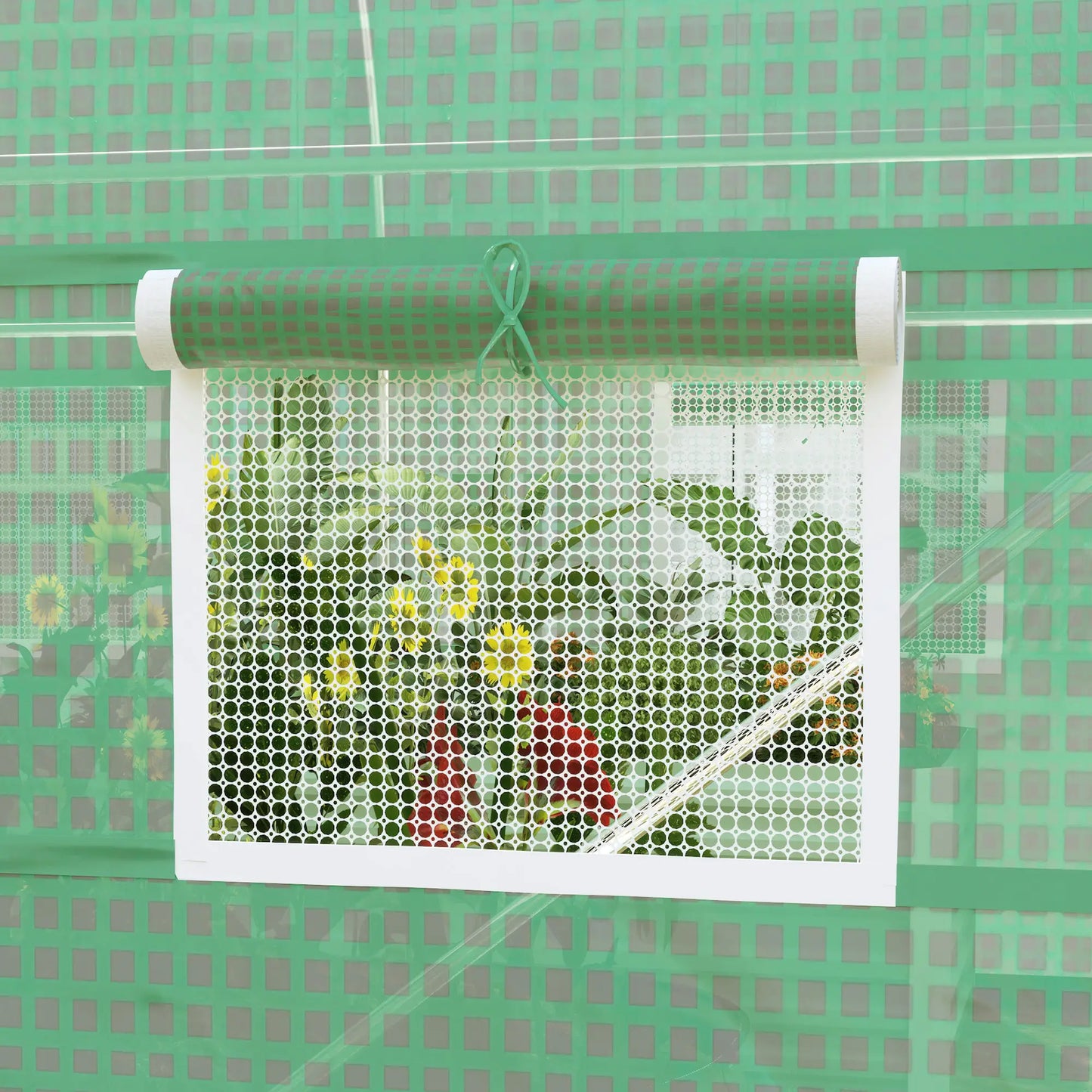 6.6' x 11' x 7' Walk-In Greenhouse, Steel Frame, Green Walk In Greenhouses at Gallery Canada