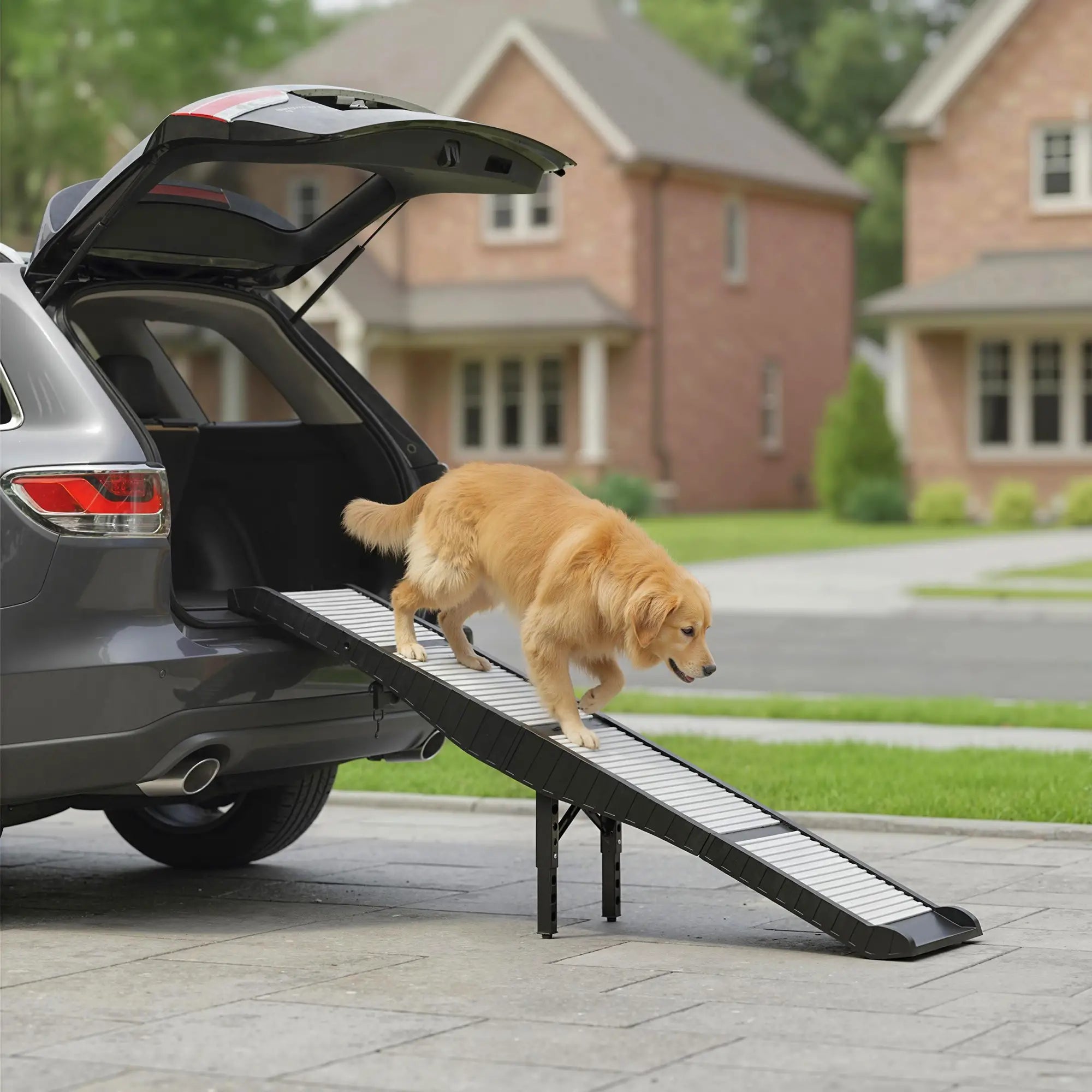Foldable Dog Car Ramp, 69
