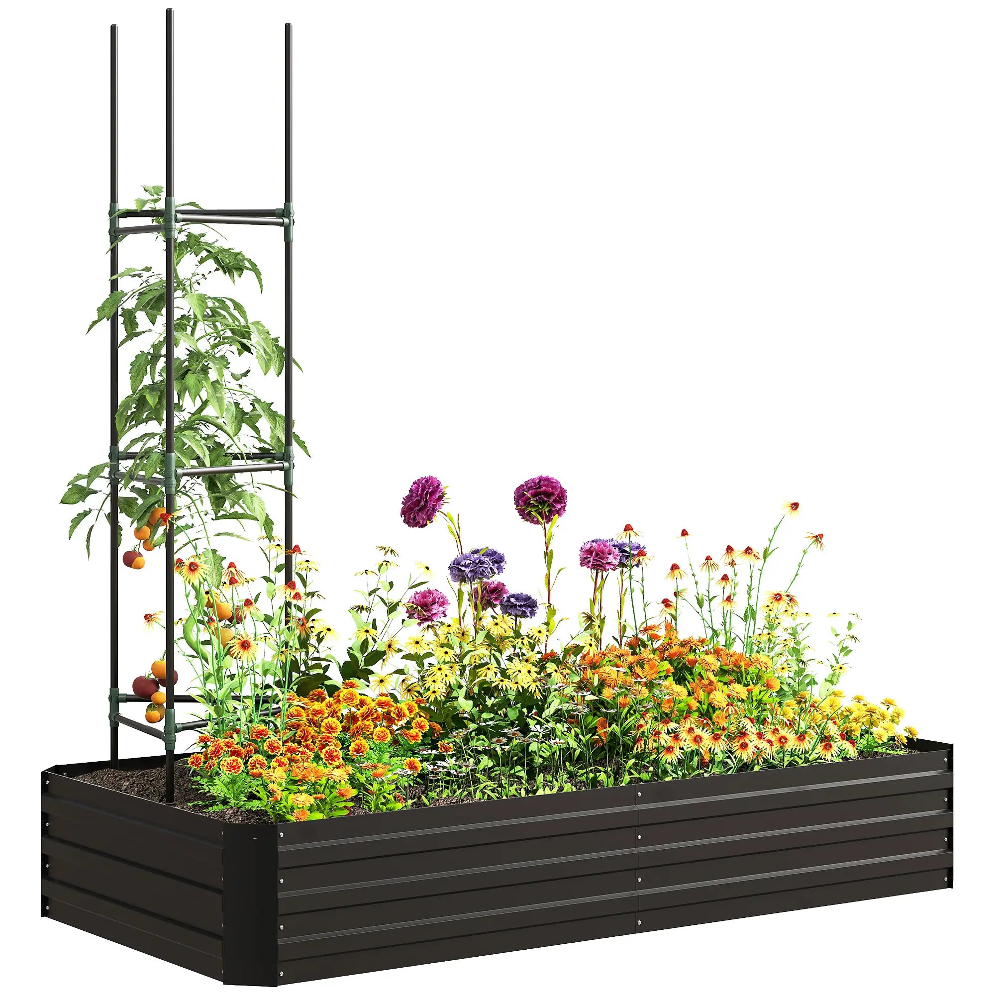6' x 3' x 1' Raised Garden Bed, 2 Trellis Tomato Cages, Steel Frame, Black Raised Garden Beds at Gallery Canada