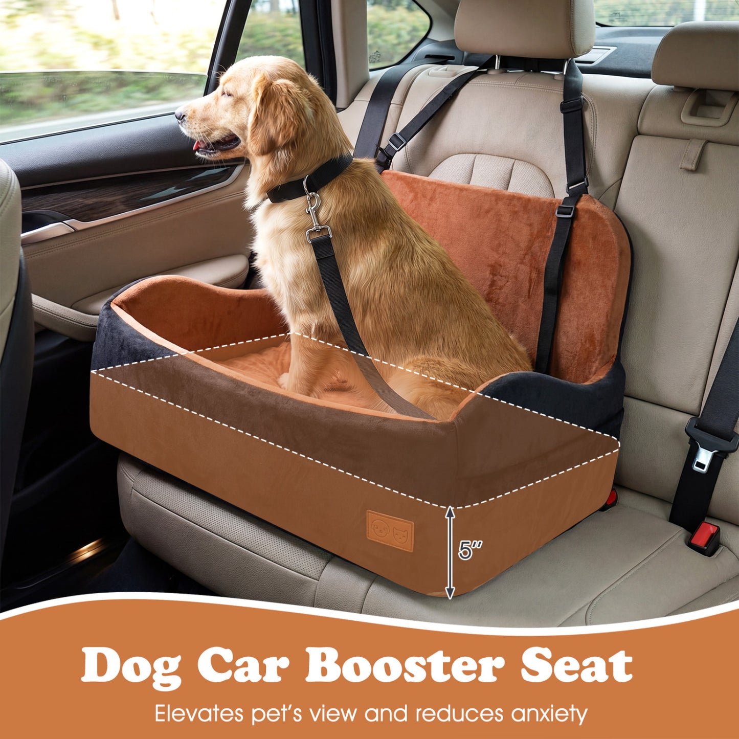 Foam Dog Booster Seat for Medium Large Dogs Dog Supplies at Gallery Canada