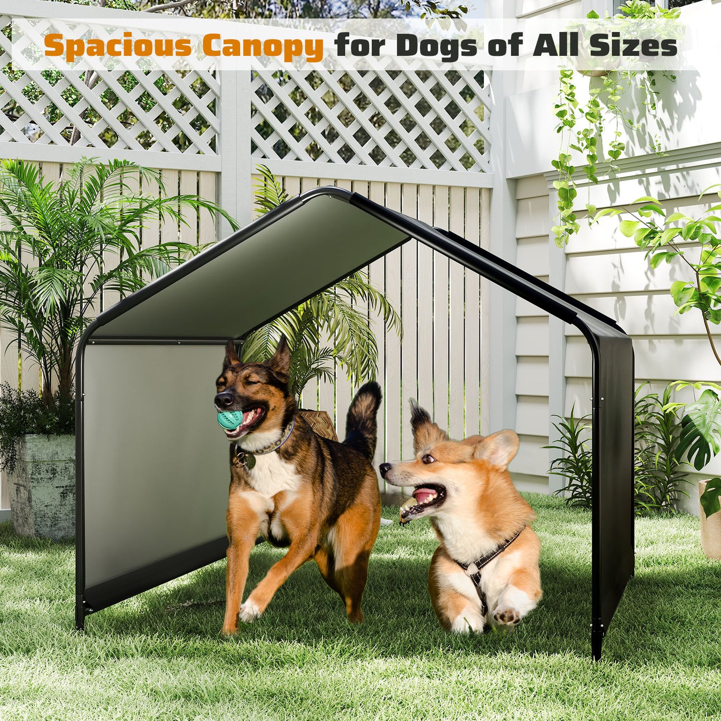 Dog Shade Shelter with Waterproof Roof for Large Medium Small Breeds, Black Dog Supplies at Gallery Canada